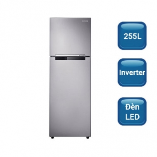 Tủ Lạnh SAMSUNG 255 Lít RT25HAR4DSA
