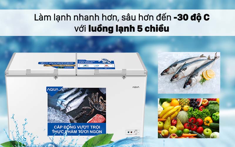 Tủ đông AQUA 295 Lít AQF-C4202E