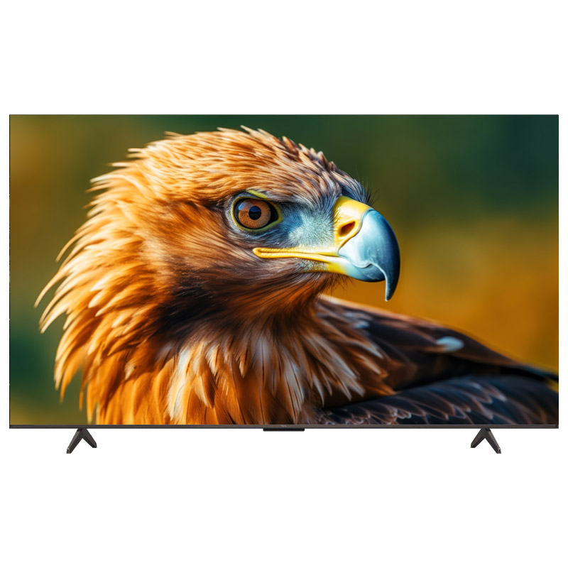 Google tivi TCL 4K 75 inch 75P755 Pro