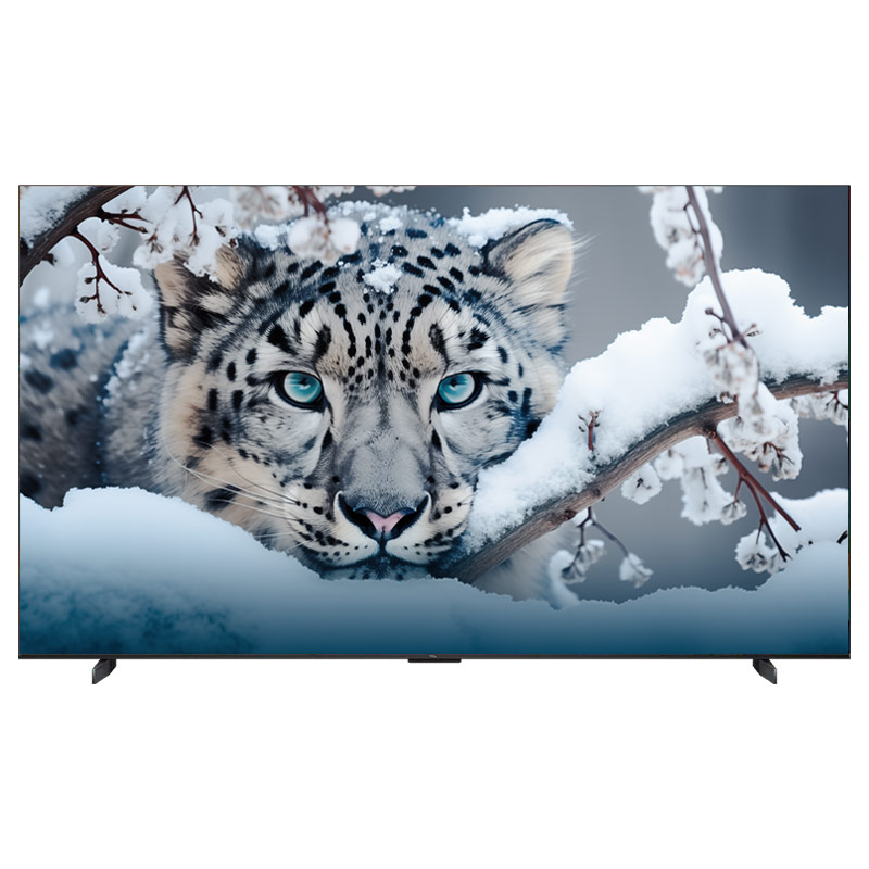 Google tivi TCL 4K 75 inch 75P79B Pro