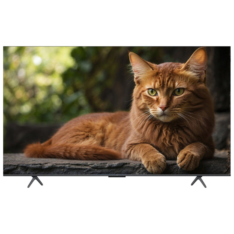 Google tivi TCL QLED 4K 55 inch 55C655