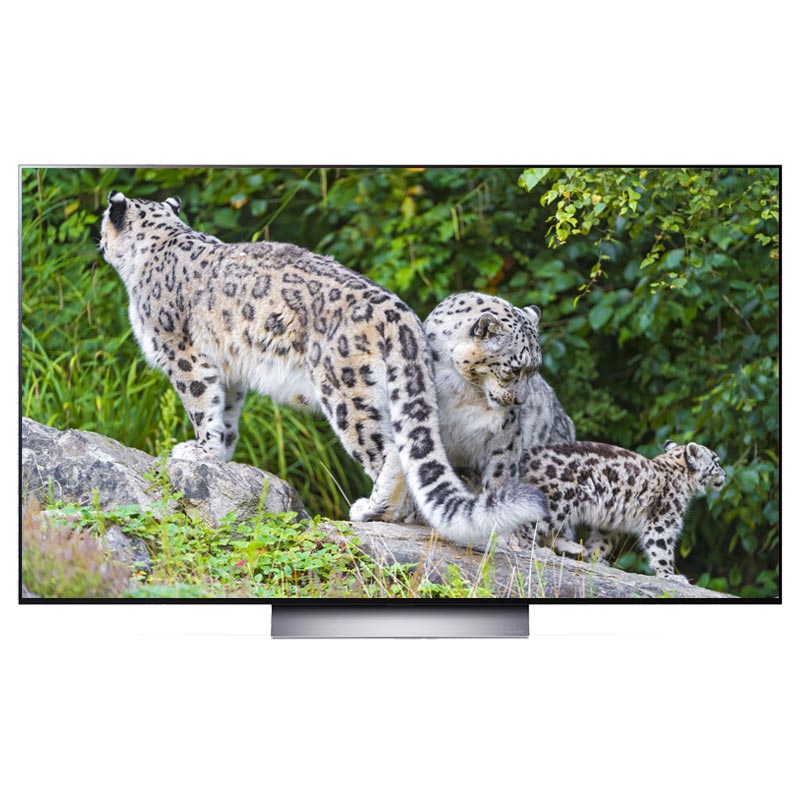 Smart tivi LG OLED 4K 55 inch 55C2PSA