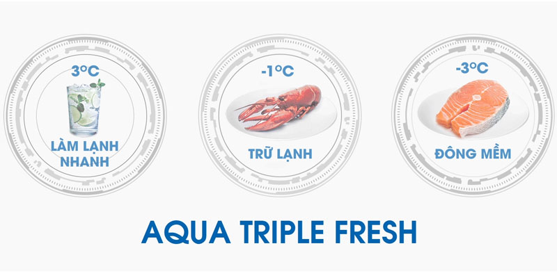 Tủ lạnh Aqua inverter 344 lít AQR-T389FA (WGB)