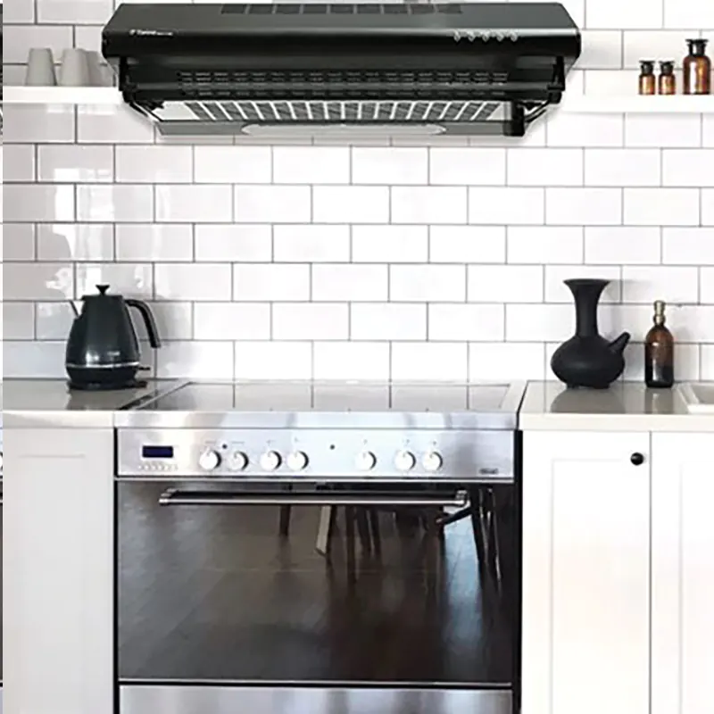 Hút khói Torino 303GE 70F inox, khử mùi