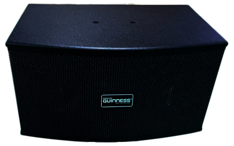 Loa Guinness KS-105G