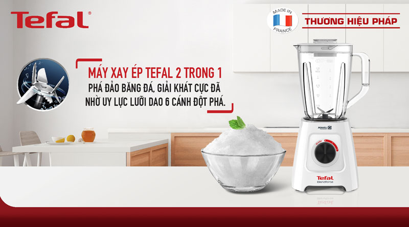 Máy xay sinh tố Tefal BL42Q166