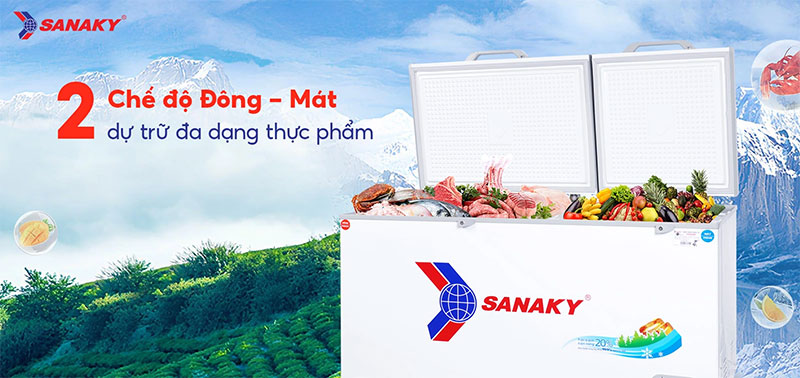 Tủ đông Sanaky 485 lít VH-6699W1