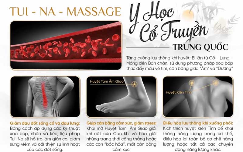 Ghế massage FUJI LUXURY FJ-623