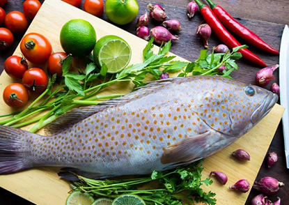 Có nên mua tủ lạnh có ngăn cấp đông mềm