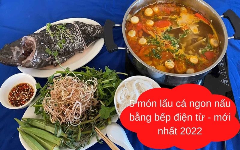 5 món lẩu cá ngon nấu bằng bếp điện từ - mới nhất 2022