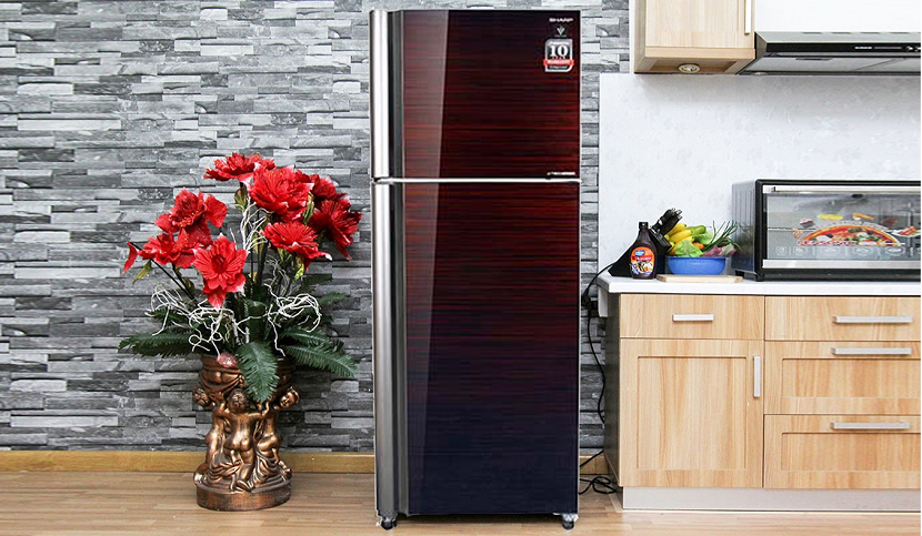 Top 5 tủ lạnh 10 triệu đáng mua nhất  - Siêu Thị Điện Máy Thiên Nam Hòa