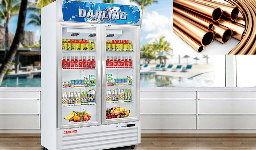 Gợi ý top 5 tủ mát Darling được yêu thích nhất năm 2021