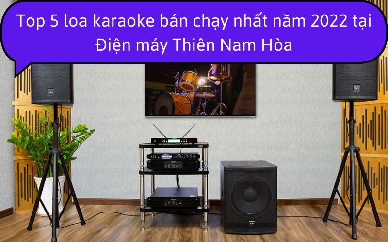 Top 5 loa karaoke bán chạy nhất năm 2022 tại Điện máy Thiên Nam Hòa