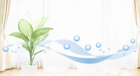 Mẹo duy trì không khí sạch cho căn nhà của bạn