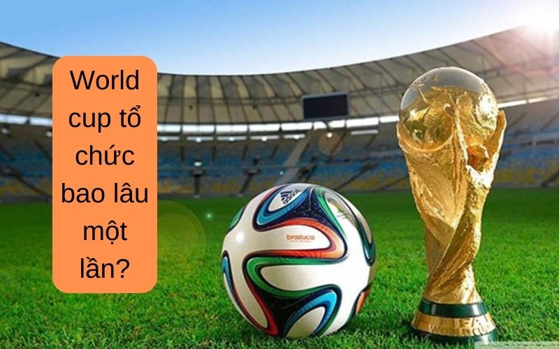 World cup tổ chức bao lâu một lần?