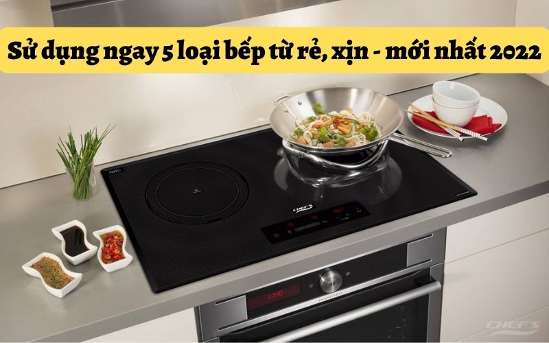 Sử dụng ngay 5 loại bếp từ rẻ, xịn - mới nhất 2022