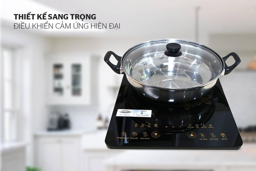 Mách bạn bếp từ đơn loại nào tốt nhất hiện nay  - Siêu Thị Điện Máy Thiên Nam Hòa