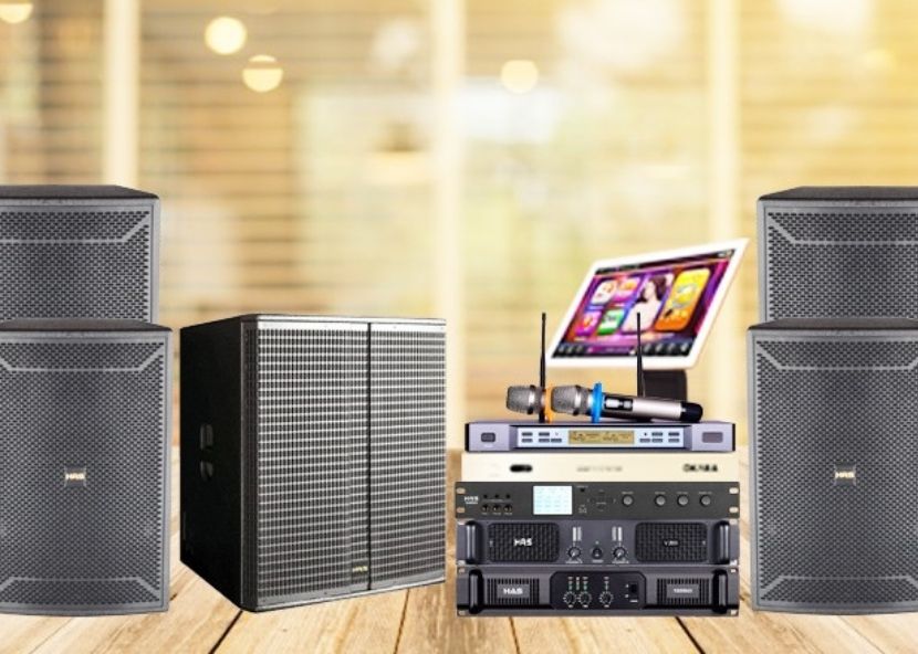 Hướng dẫn cách chọn mua dàn karaoke cho gia đình ai cũng cần biết  - Siêu Thị Điện Máy Thiên Nam Hòa