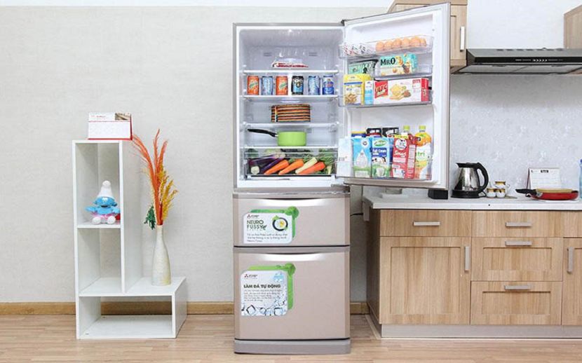 Hướng dẫn chỉnh nhiệt độ tủ lạnh vừa đảm bảo nhiệt độ làm lạnh mà vẫn tiết kiệm điện - Siêu Thị Điện Máy Thiên Nam Hòa