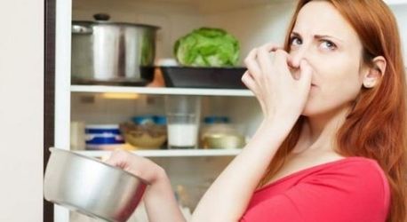 Hướng dẫn cách khử mùi hôi tủ lạnh vô cùng đơn giản tại nhà  - Siêu Thị Điện Máy Thiên Nam Hòa