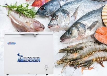 Hướng dẫn sử dụng tủ đông mới mua sao cho tiết kiệm điện