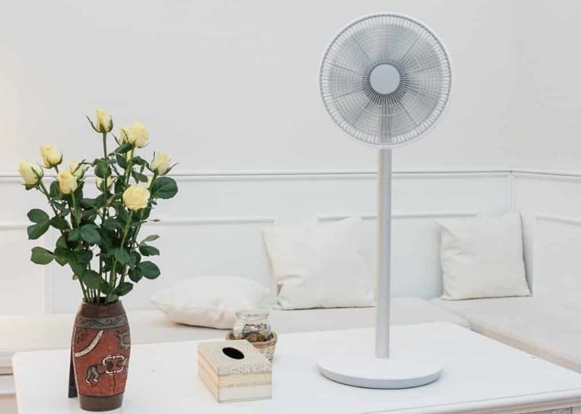 Tại sao quạt cây điện cơ ngày càng được ưa chuộng nhiều đến vậy.