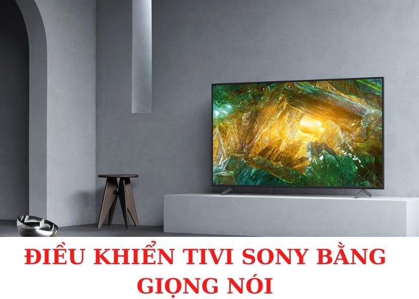 Điều khiển tivi Sony bằng giọng nói như thế nào