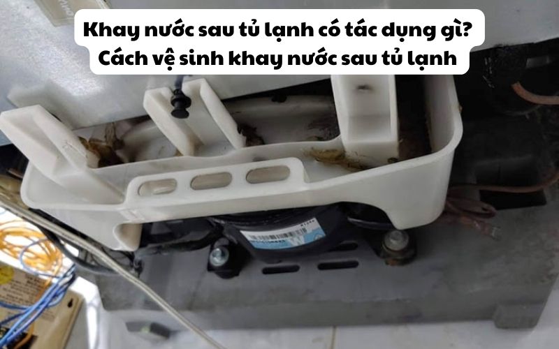 Khay nước sau tủ lạnh có tác dụng gì? Hướng dẫn cách vệ sinh khay nước sau tủ lạnh