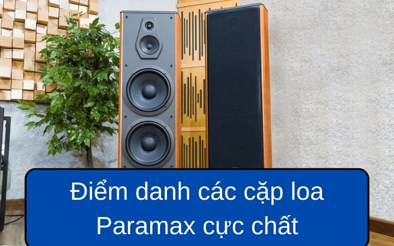 Điểm danh các cặp loa Paramax cực chất