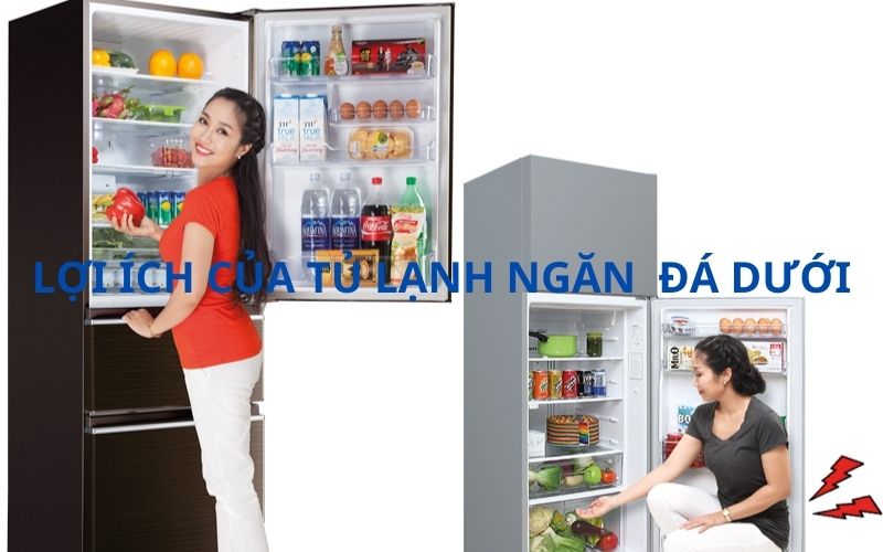 Lợi ích bất ngờ của tủ lạnh ngăn đá dưới