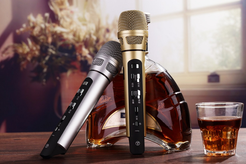 Review cực chi tiết về Micro karaoke bluetooth  - Siêu Thị Điện Máy Thiên Nam Hòa