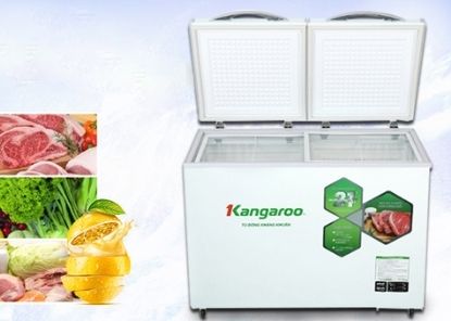 Nên lựa chọn tủ đông của hãng nào để sử dụng?