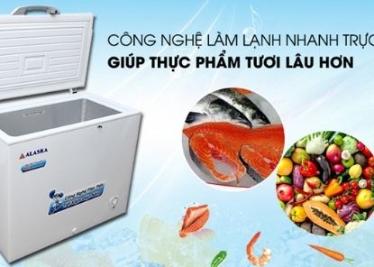 Tủ đông Alaska sử dụng có hay tốt không?
