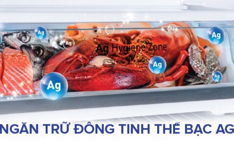 Ngăn trữ đông tinh thể bạc Ag Hygiene Zone ngăn lẫn mùi thực phẩm