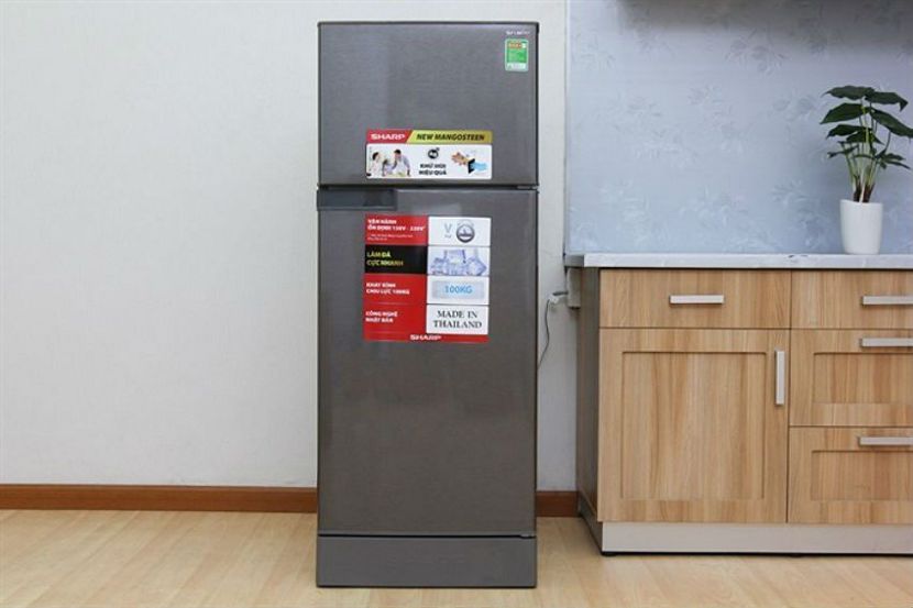 Không thể bỏ qua 4 tủ lạnh 180 lít tiết kiệm điện nhất hiện nay - Siêu Thị Điện Máy Thiên Nam Hòa