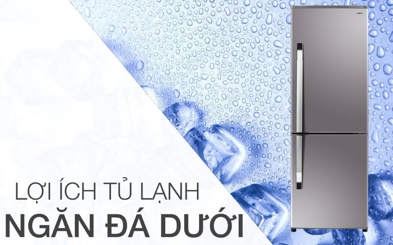 tủ lạnh ngăn đá dưới