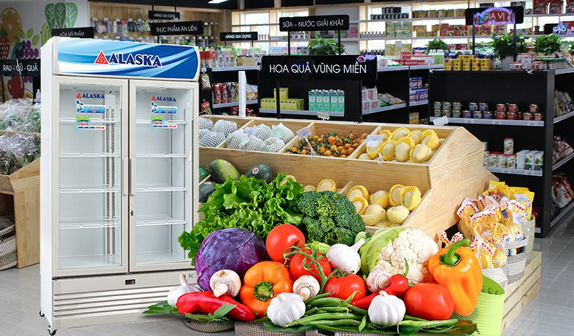 Điểm danh 4 lý do khiến bạn rút ví ra mua ngay tủ mát Alaska - Siêu Thị Điện Máy Thiên Nam Hòa