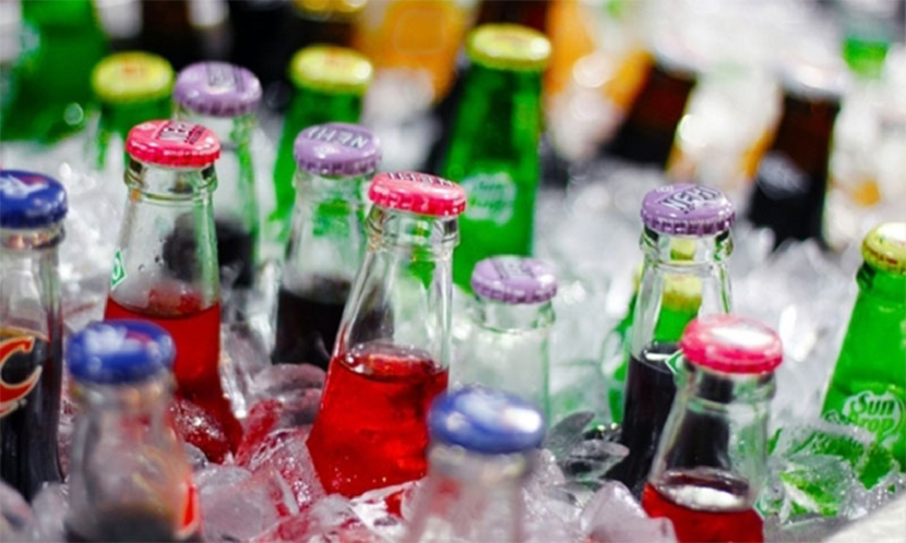 Top 3 tủ mát Panasonic đáng mua nhất trong năm 2021  - Siêu Thị Điện Máy Thiên Nam Hòa