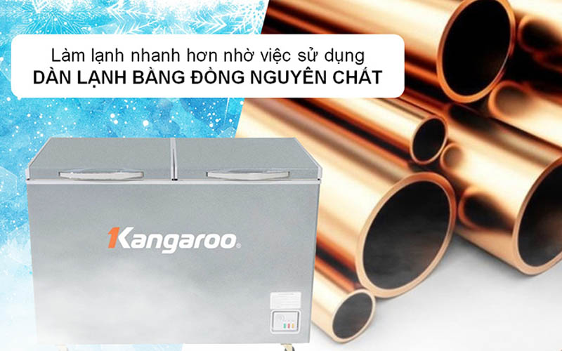 Tủ đông KANGAROO 252 lít KGFZ318NG2