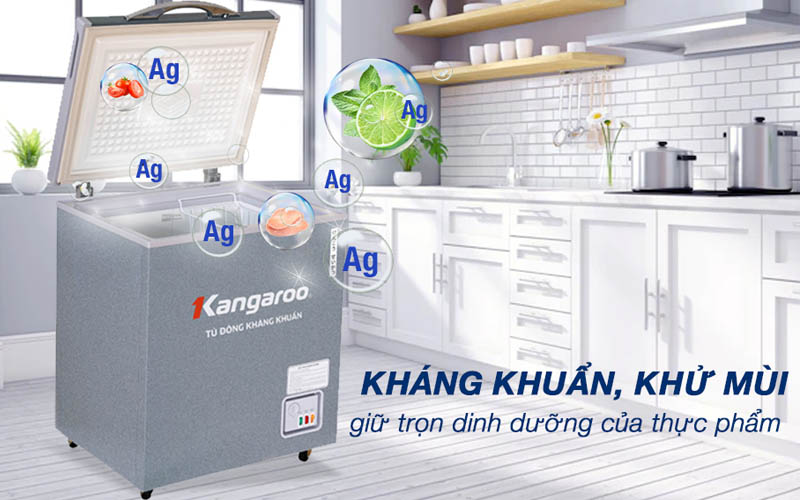 Tủ đông KANGAROO 90 lít KGFZ150NG1