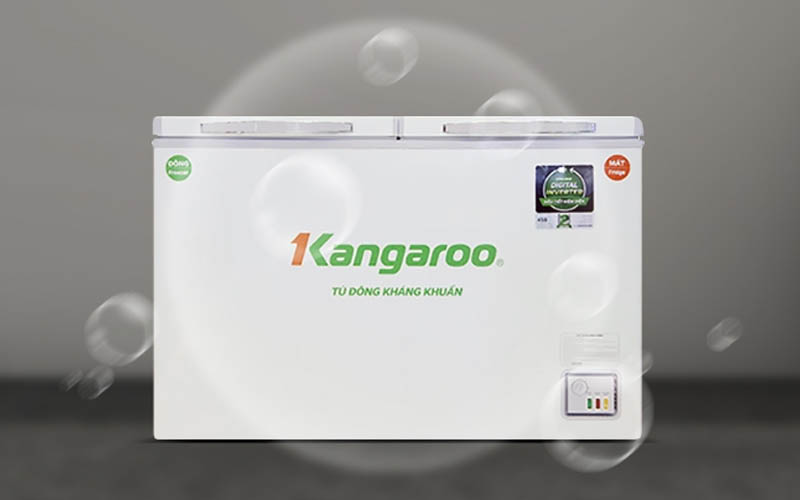 Tủ đông KANGAROO Inverter 230 lít KG320IC2