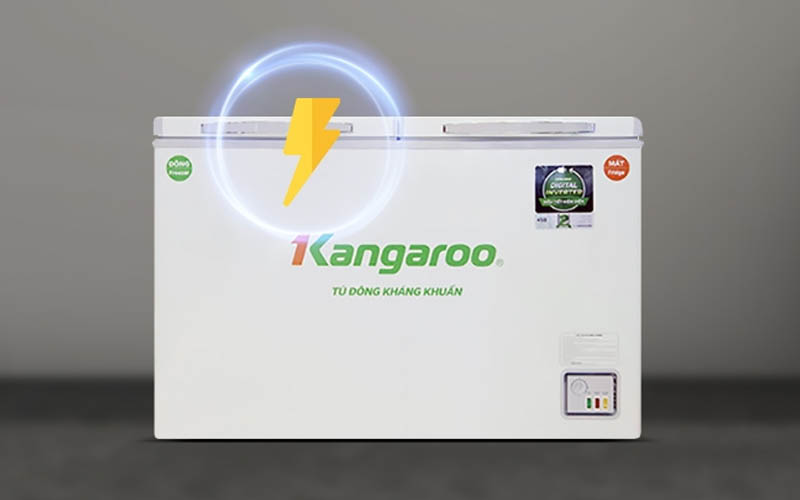 Tủ đông KANGAROO Inverter 230 lít KG320IC2