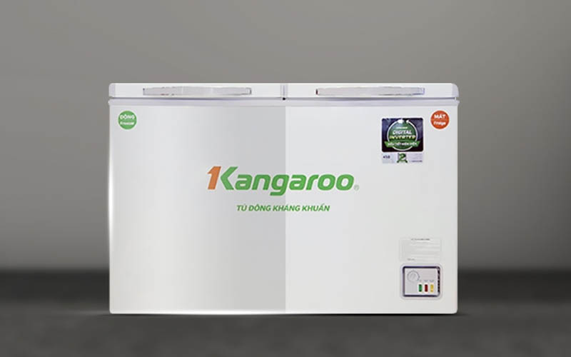 Tủ đông KANGAROO Inverter 230 lít KG320IC2