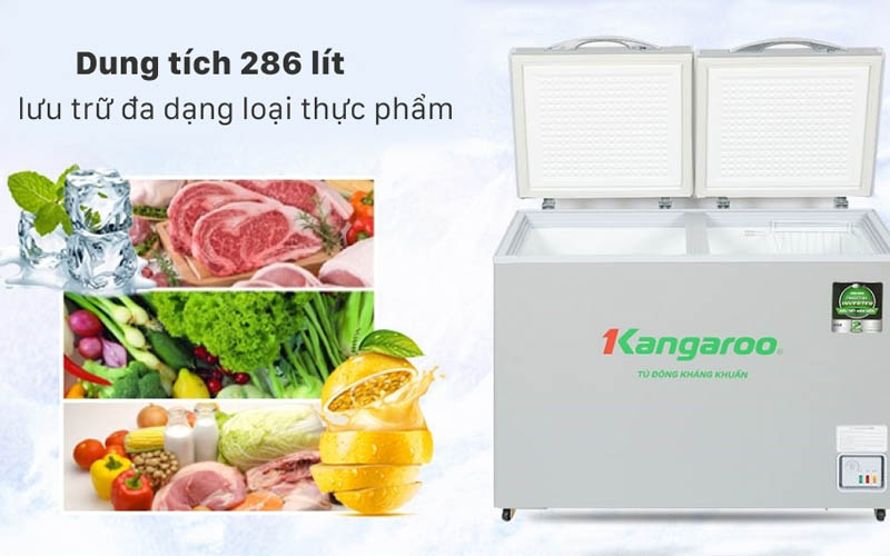 Tủ đông KANGAROO Inverter 286 lít KGFZ290IC1