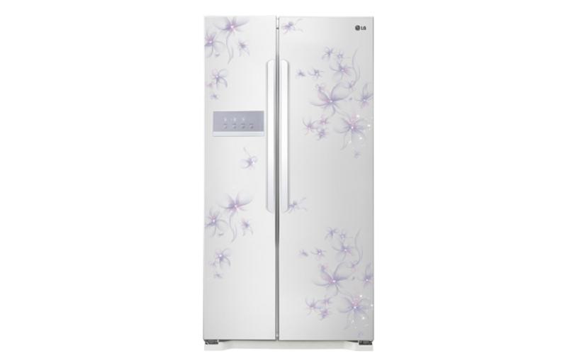 Tủ lạnh 2 cánh LG