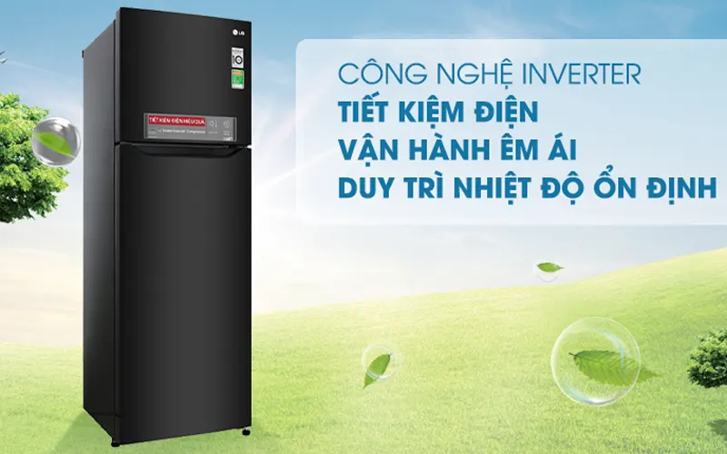 Tủ lạnh Inverter LG 255 lít GN-M255BL