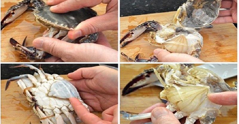 Lột bỏ yếm để việc tách mai trở nên dễ dàng hơn