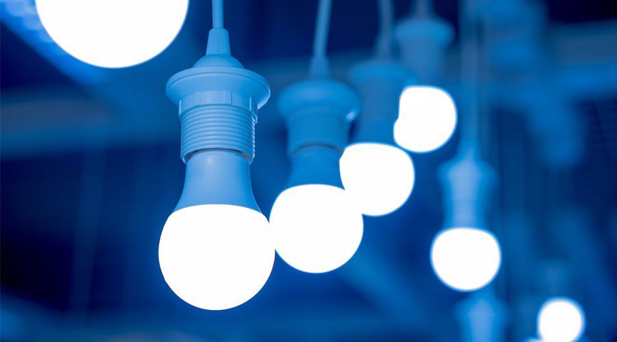 Phát hiện côn trùng chui vào tai cần xử lí như thế nào?