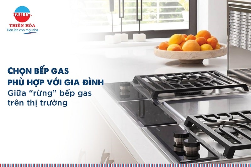 chọn bếp ga phù hợp gia đình