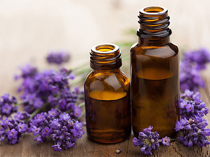 Cách đuổi muỗi vô cùng hiệu quả giúp giảm tình trạng sốt xuất huyết
